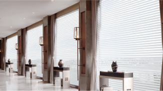 Lantex Sheerview horizontal shades