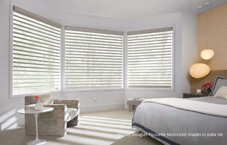 Hunter Douglas Power View in India Silk