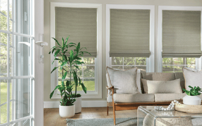 Sustainable Window Treatments